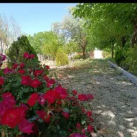 اجاره-منزل-مسکونی