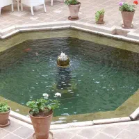 اجاره-یک-واحد-90-متری-ویلائی