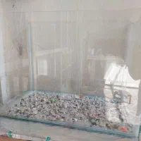 اکواریوم