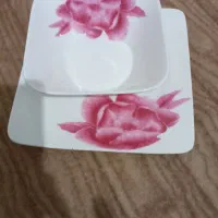 چنی خارجی
