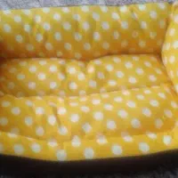 تشک خواب گربه
