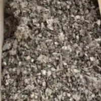 فضله کبوتر