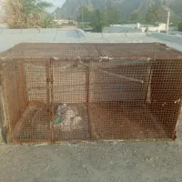 قفس تمام فنس شرکتی قدیمی