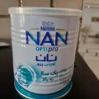 قوطی