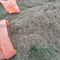 کاه خورد شده نخود فرنگی.باقلا . لوبیا چیتی