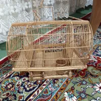 تله پرنده قفس