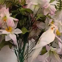 عروس هلندی گمشده