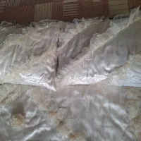 روتختی ساتن