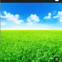 فروش زمین محدوده اداره گاز