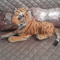 ببرعروسکی