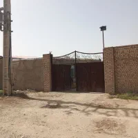 دامداری