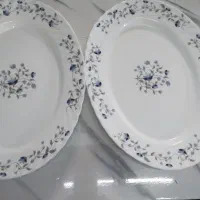 دو کاسه سالاد آرکوپال دو تا دیس نو