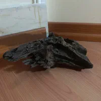 آبنوس