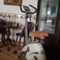 دوچرخه ثابت