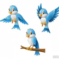 عروس هلندی پیدا شده