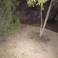 استخدام نگهبان مجتمع
