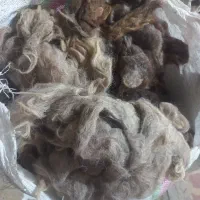 پشم گوسفندی شسته شده