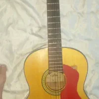 Aria ak-30