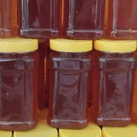 عسل چندگیاه