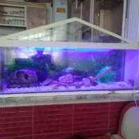 سه عدد اکواریوم بزرگ و کوچک معاوضه با هرچی