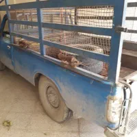 باربند آهن کشی نیسان پروفیلی قدیمی