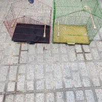 دوتا قفس کلبه ای برای عروس هلندی
