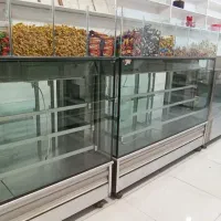 یخچال ویترینی الکترو استیل