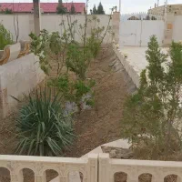 خدمات باغبانی و هرس و درختکاری