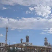 جویا کار در شرکت ها