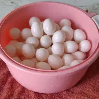 تخم کبوتر تازه برای بچه