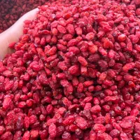 زرشک درجه یک بیرجند
