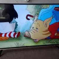 تلویزیون ۴۹اینچ هاردستون