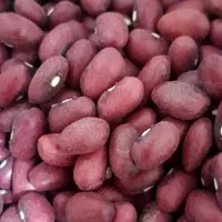 لوبیا درجه یک رقم یاقوت