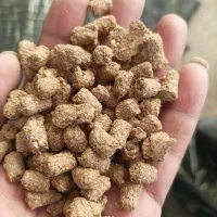 غذای ماهی کپور