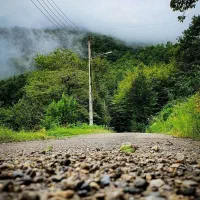 فروش قواره ای زمین