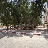 اجاره ۵۵متری سروa1طبقه2