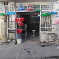 پرنده سرای محمدی