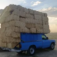 پرس درجه 1