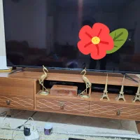 زیرتلویزیون