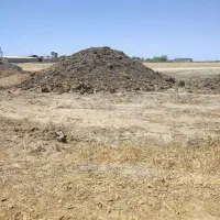 فروش کود قارچی پوسیده