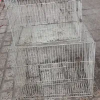 قفس عروس هلندی وغیره....