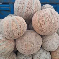 پخش طالبی