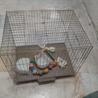 قفس