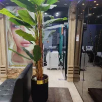 لیزرموهای زاید الکساندرایت کندلا شاتی