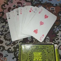 یک دست پاستور کامل