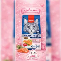 غذا خشک گربه بالغ ونپی طعم سالمون
