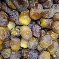 رطب برحی درجه یک