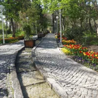 استخدام کارگر ساده در رستوران