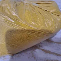 کشک زرد زابلی