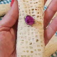 آموزش رشته خشکار با آسان ترین روش